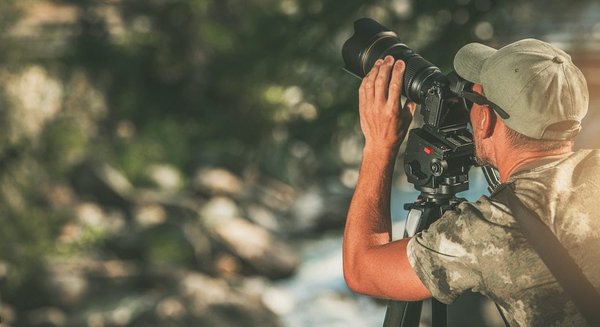 Quelles sont les meilleures techniques pour photographier la faune en camping sans les déranger?