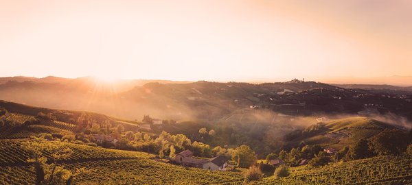 Quelles maisons de vacances offrent une expérience viticole authentique dans la Napa Valley avec un sommelier privé?